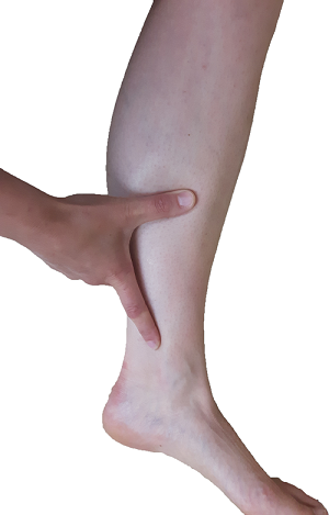 Pain location of shin spints: the the lower two thirds of the lower leg.